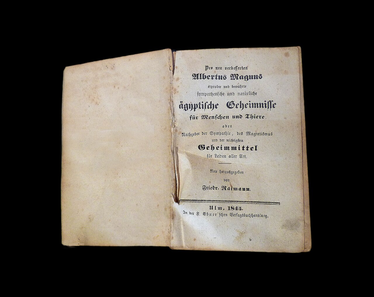 Albertus Magnus